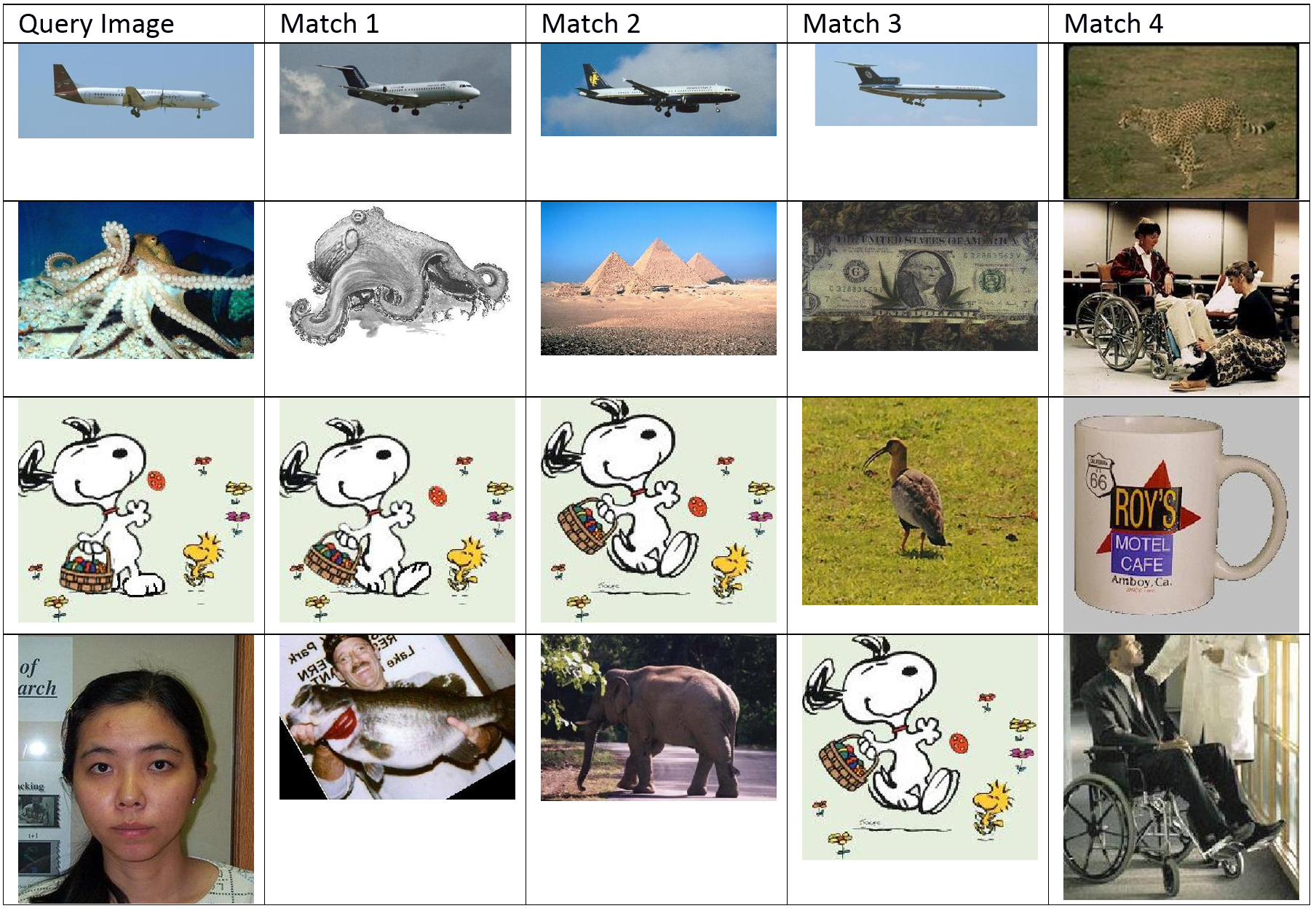  Matches from the Caltec 101 Categories Dataset 
